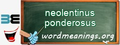 WordMeaning blackboard for neolentinus ponderosus